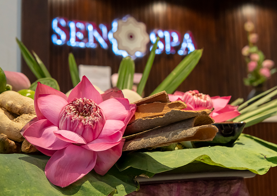正规 Spa 环境与日本街成人项目的差别